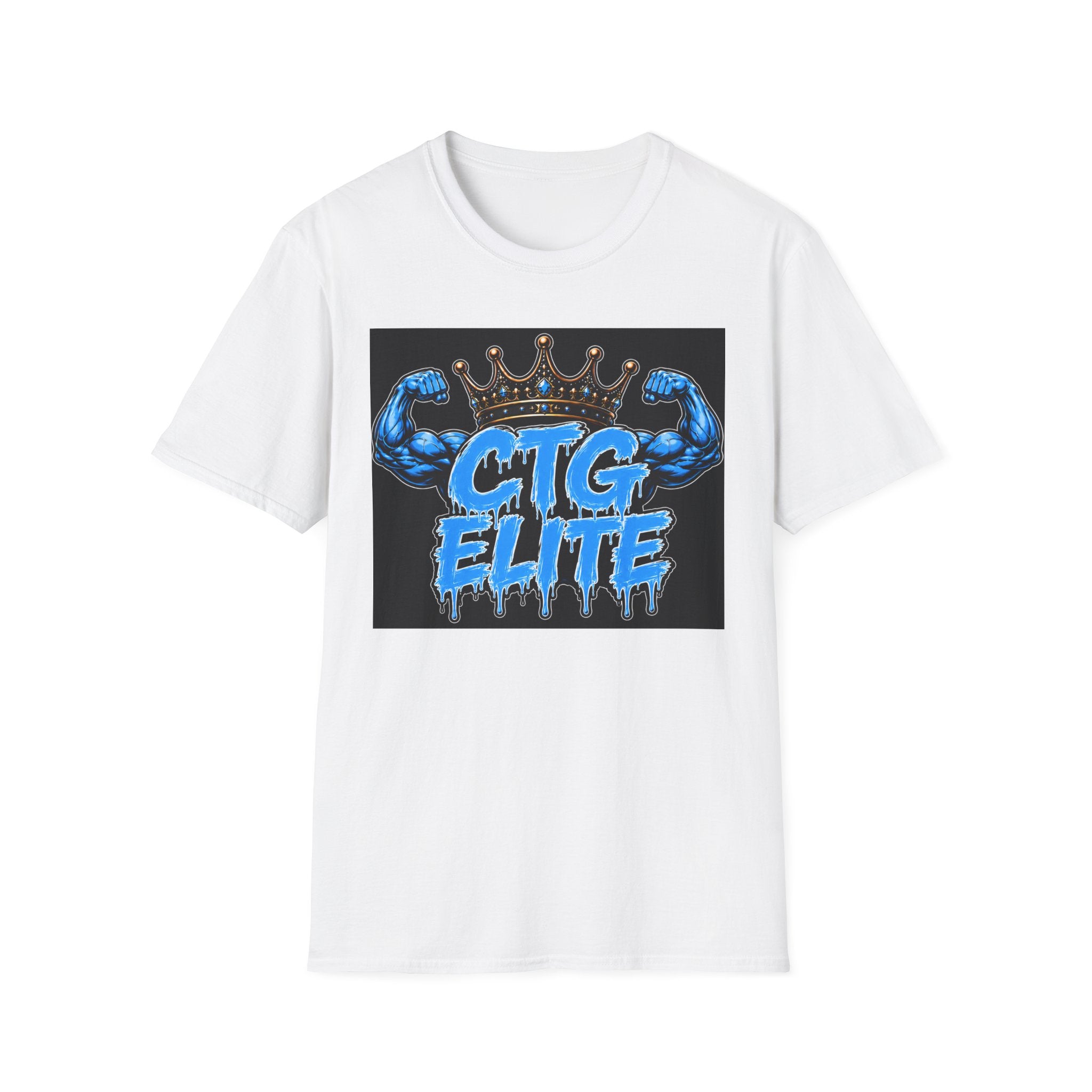 Copy of Unisex Softstyle T-Shirt